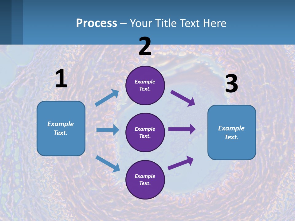 Climate House Switch PowerPoint Template