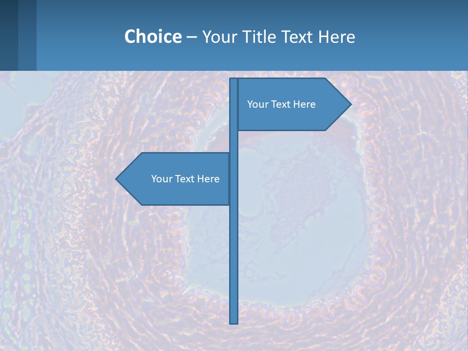 Climate House Switch PowerPoint Template