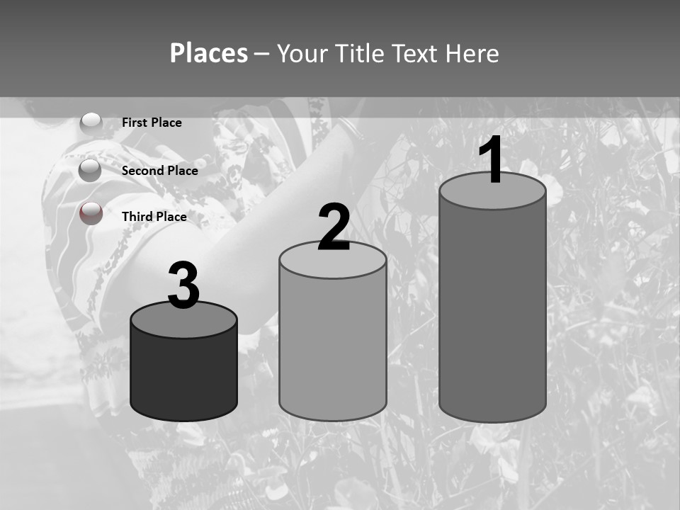 Home Ventilation Industry PowerPoint Template