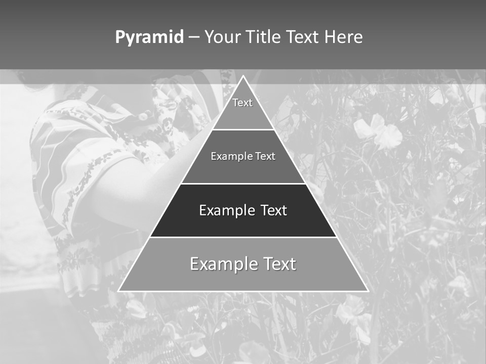 Home Ventilation Industry PowerPoint Template