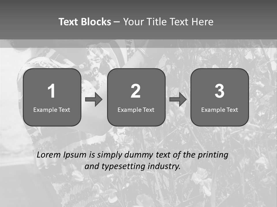 Home Ventilation Industry PowerPoint Template
