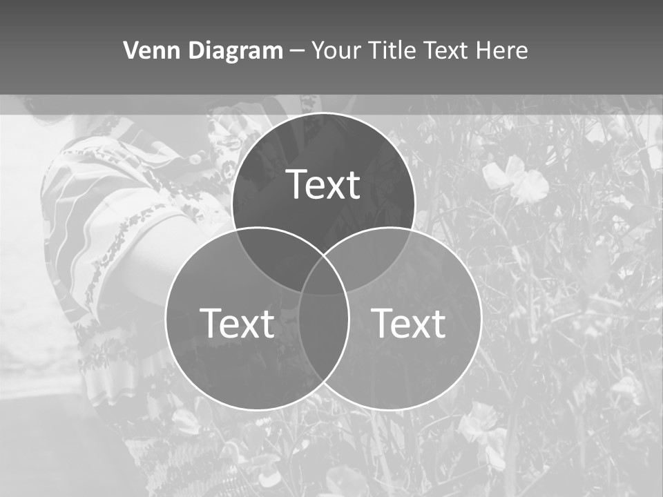 Home Ventilation Industry PowerPoint Template