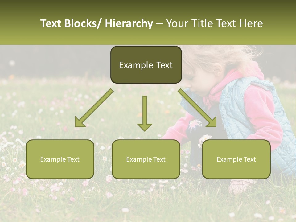 Conditioner Technology Home PowerPoint Template