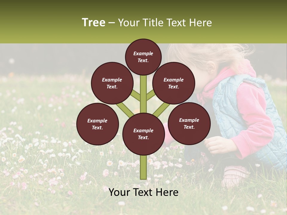 Conditioner Technology Home PowerPoint Template