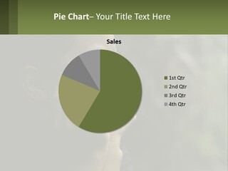 Air Conditioner Home PowerPoint Template