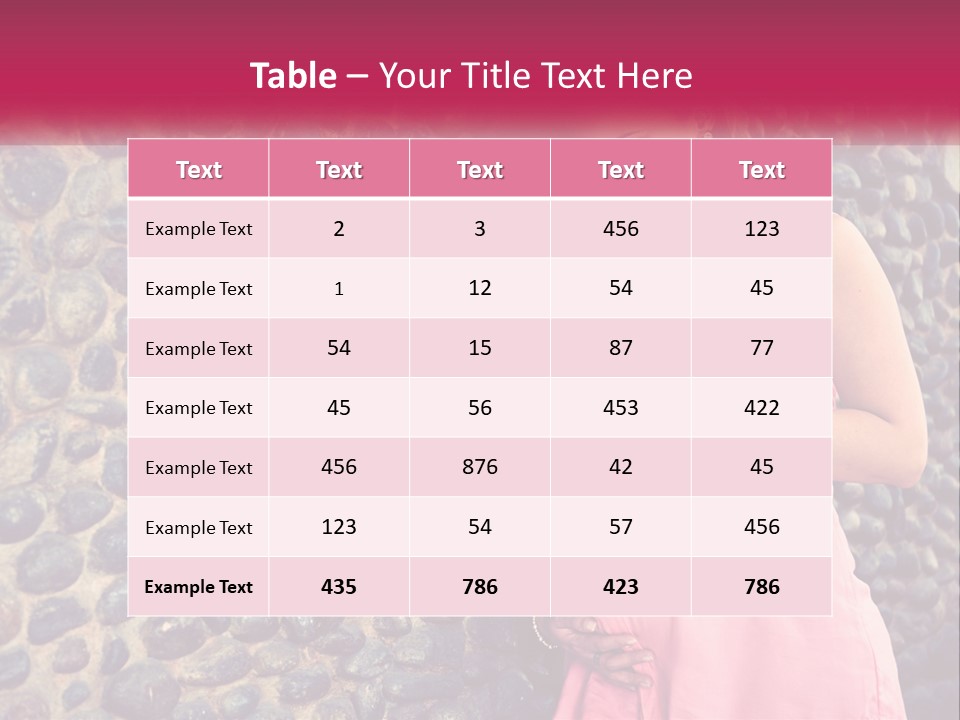 Home Remote Equipment PowerPoint Template