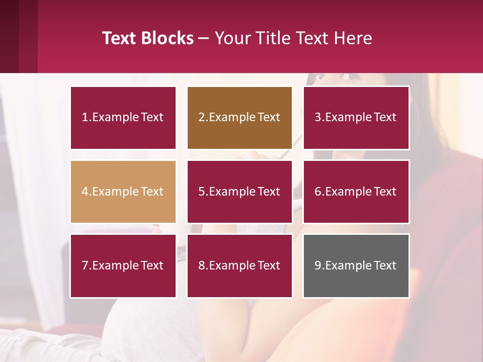 System Heat House PowerPoint Template