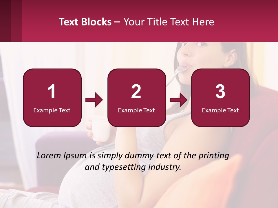 System Heat House PowerPoint Template