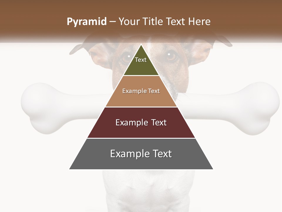 Climate Cold System PowerPoint Template