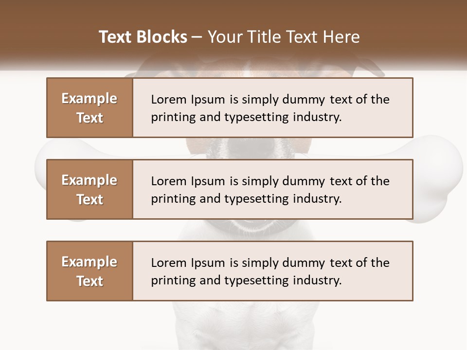 Climate Cold System PowerPoint Template