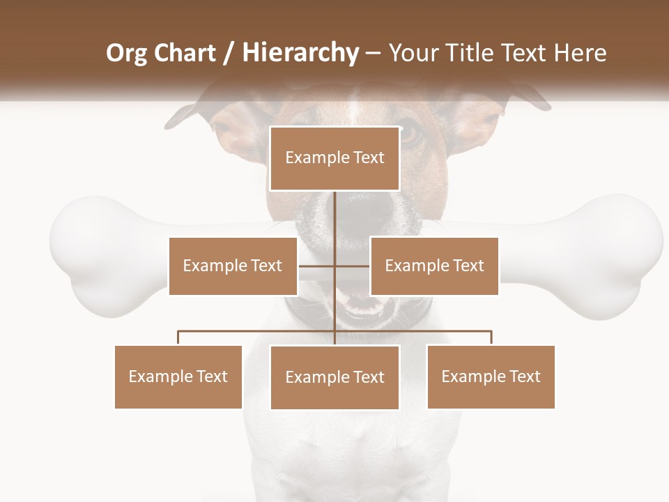 Climate Cold System PowerPoint Template