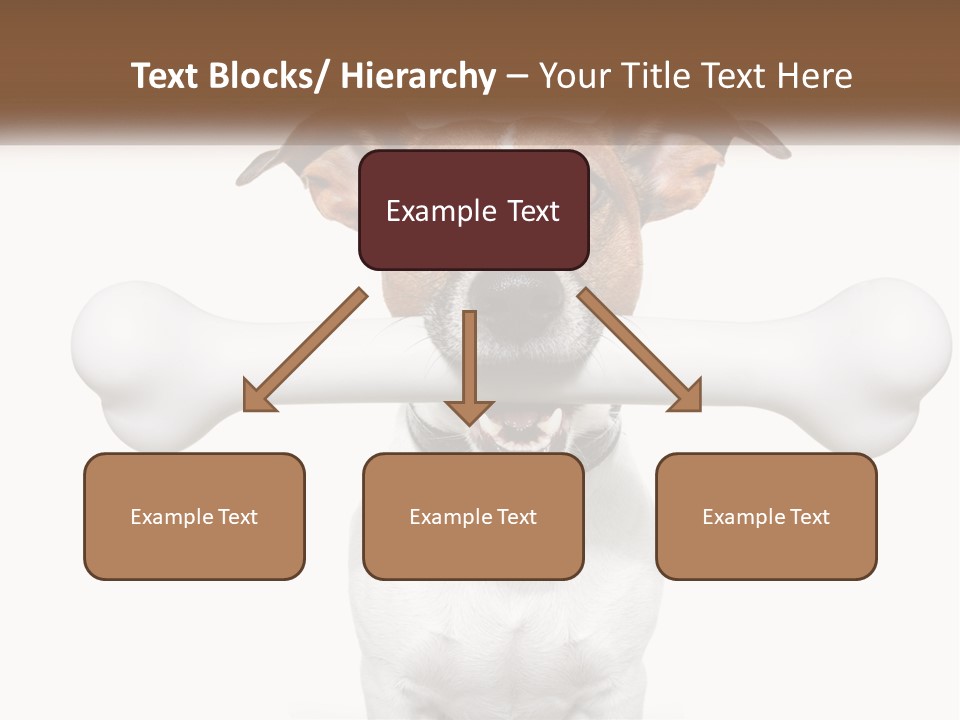 Climate Cold System PowerPoint Template