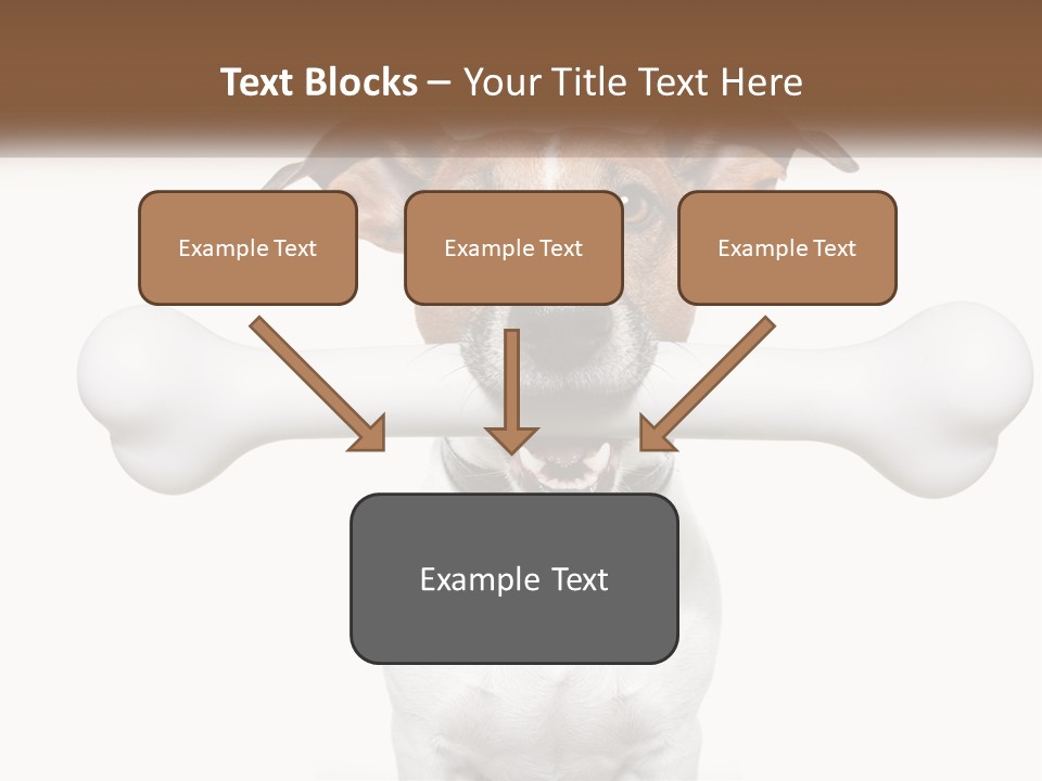 Climate Cold System PowerPoint Template