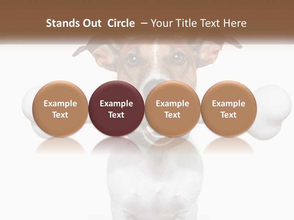 Climate Cold System PowerPoint Template