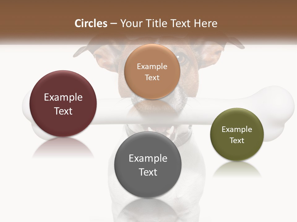 Climate Cold System PowerPoint Template