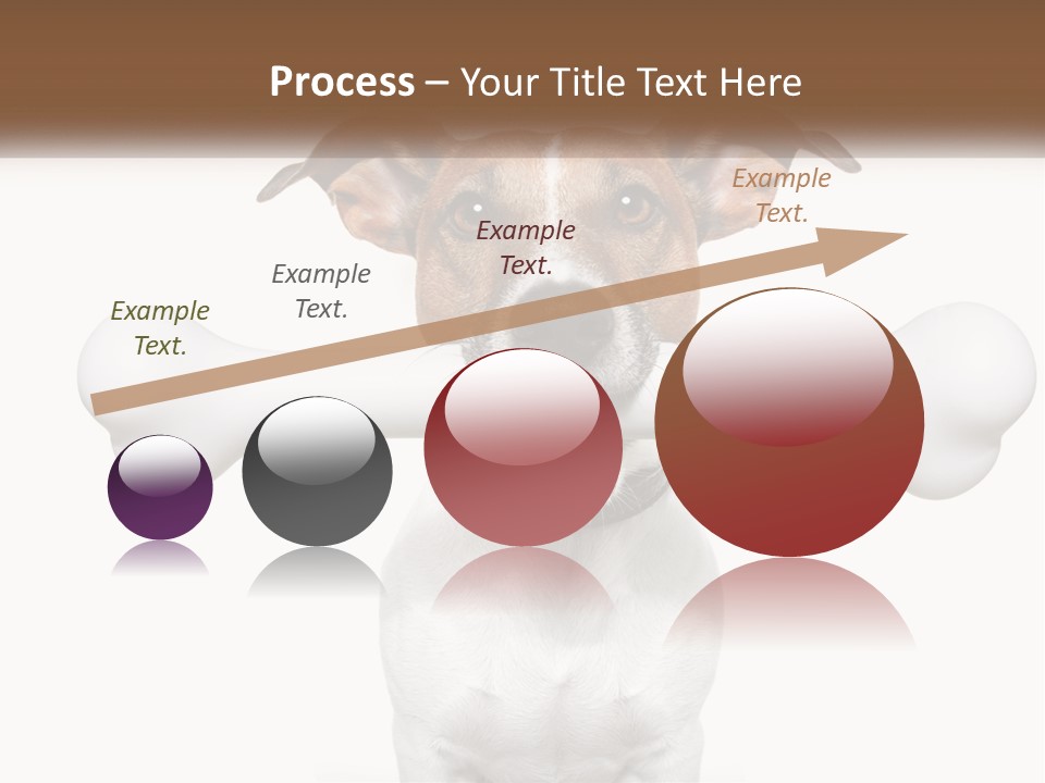 Climate Cold System PowerPoint Template
