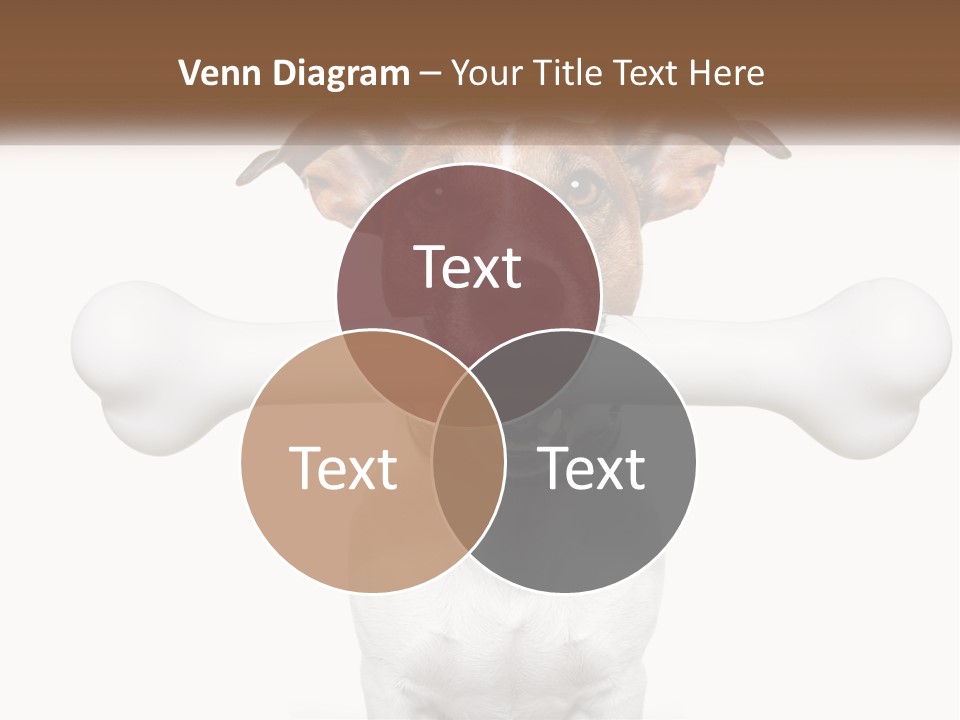 Climate Cold System PowerPoint Template