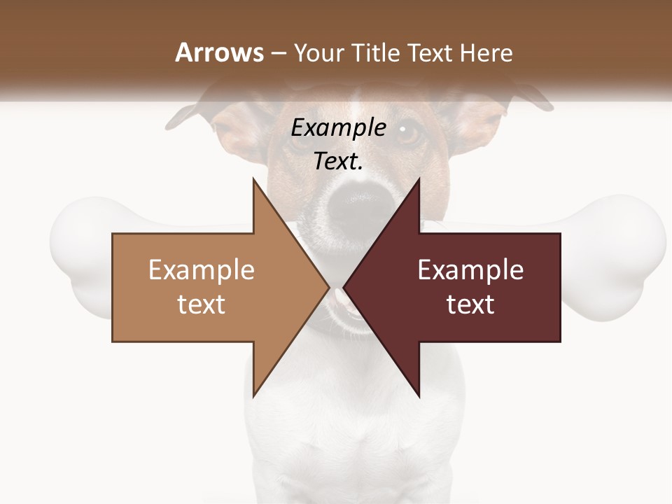 Climate Cold System PowerPoint Template
