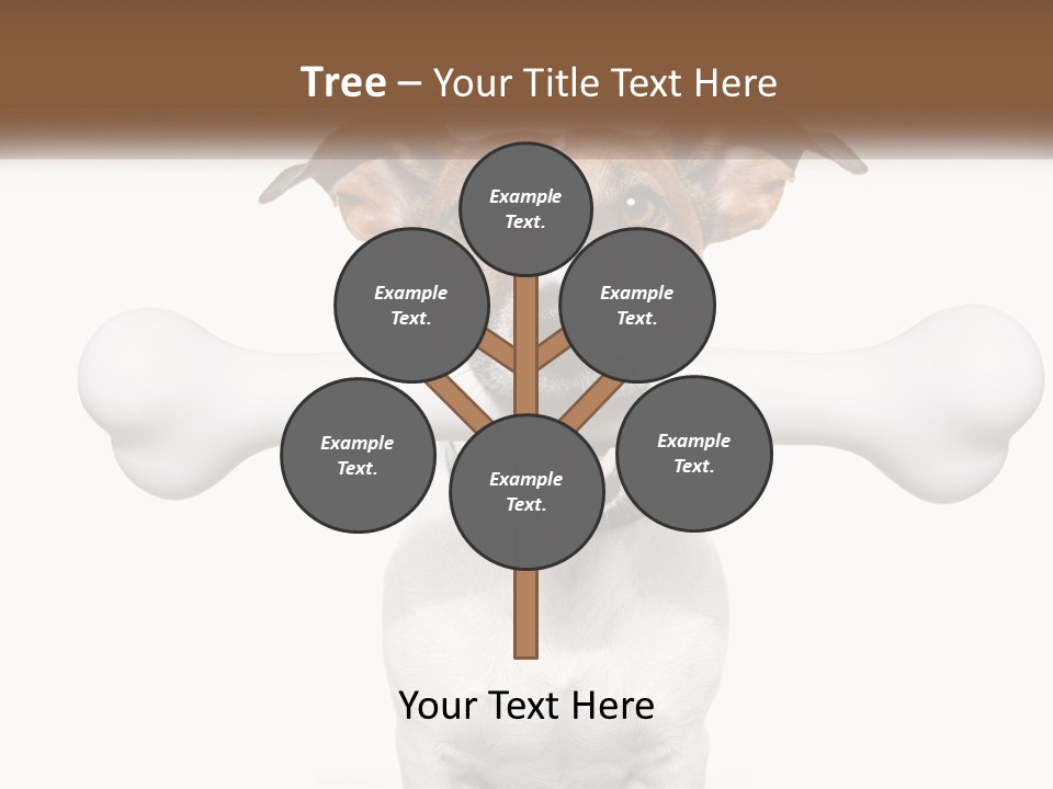 Climate Cold System PowerPoint Template