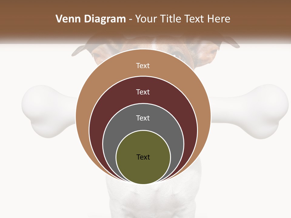 Climate Cold System PowerPoint Template