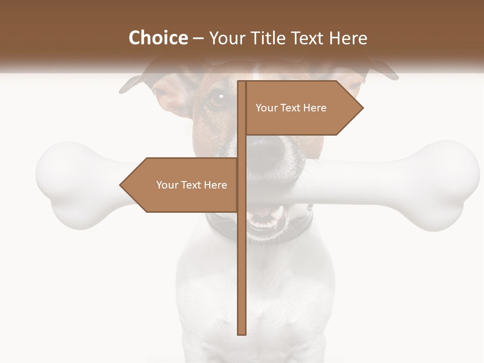 Climate Cold System PowerPoint Template