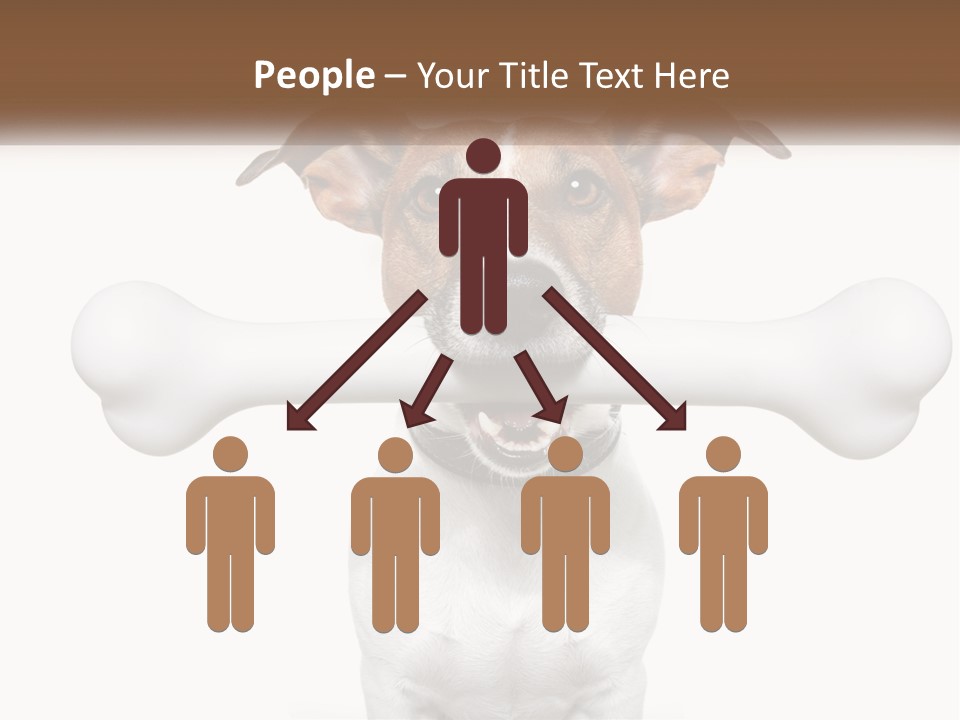 Climate Cold System PowerPoint Template