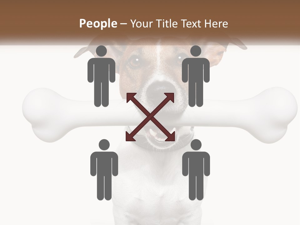 Climate Cold System PowerPoint Template