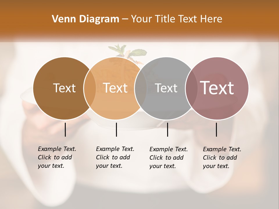 Switch Climate Home PowerPoint Template