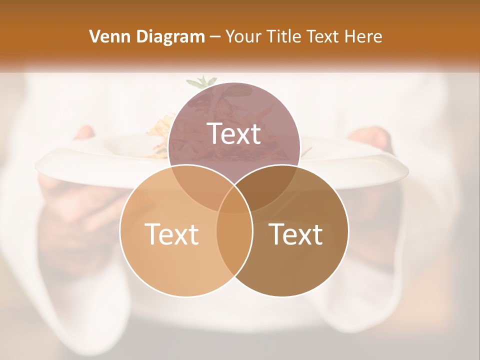 Switch Climate Home PowerPoint Template