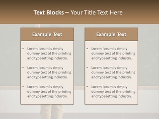 Conditioner House Equipment PowerPoint Template