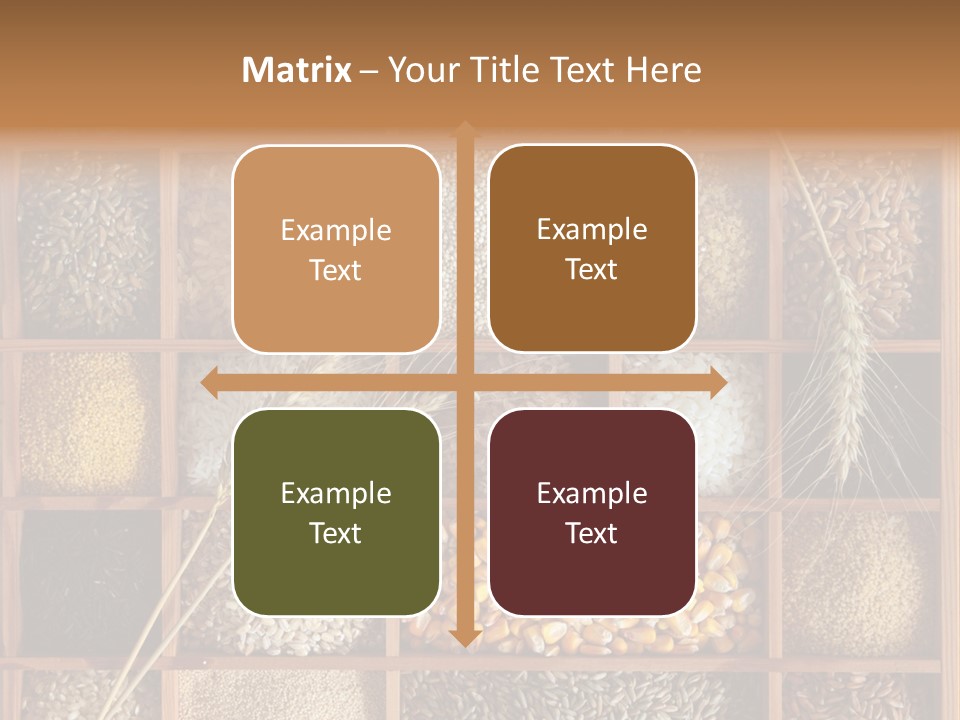 Energy Switch House PowerPoint Template