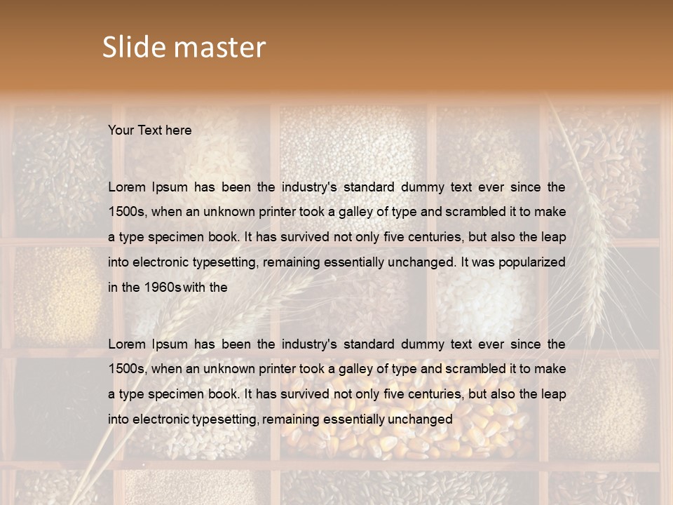 Energy Switch House PowerPoint Template