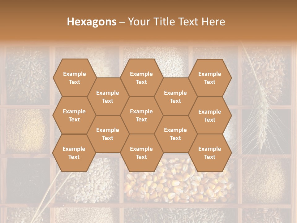 Energy Switch House PowerPoint Template