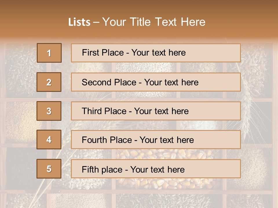Energy Switch House PowerPoint Template