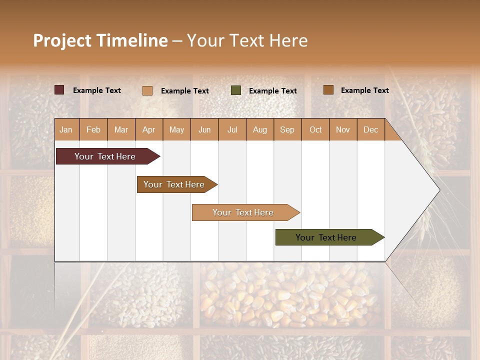 Energy Switch House PowerPoint Template