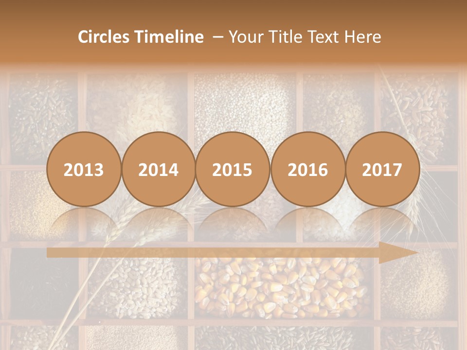 Energy Switch House PowerPoint Template