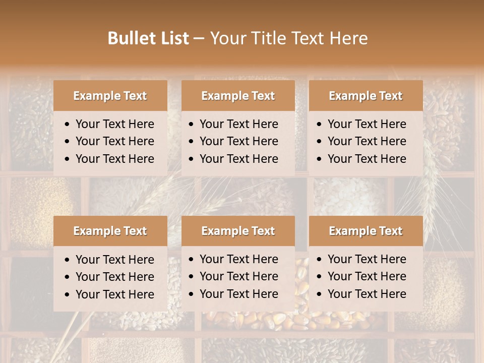 Energy Switch House PowerPoint Template