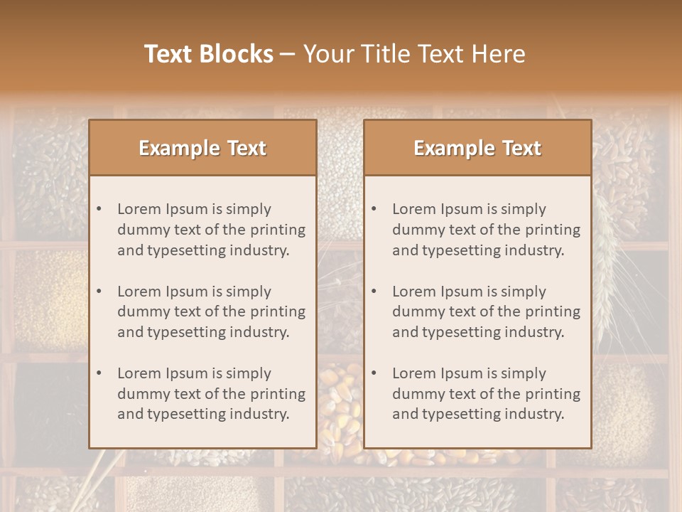 Energy Switch House PowerPoint Template