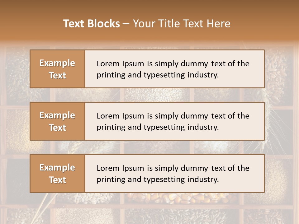 Energy Switch House PowerPoint Template