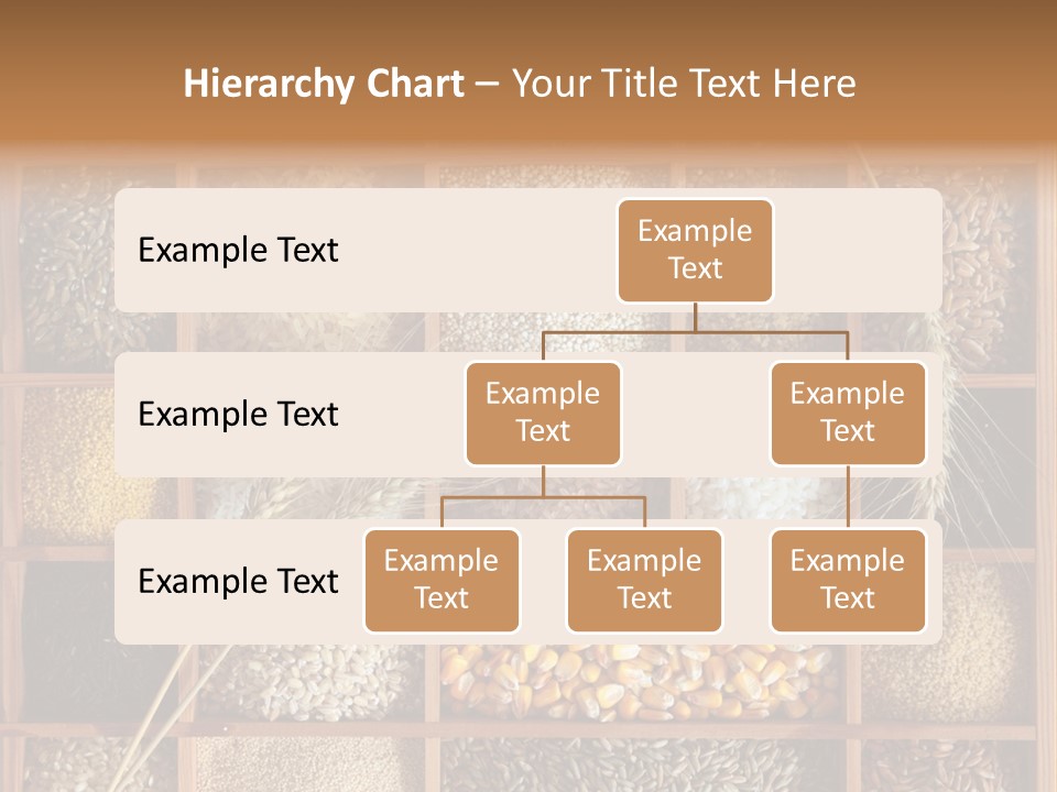 Energy Switch House PowerPoint Template