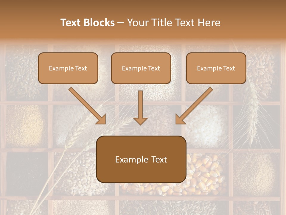 Energy Switch House PowerPoint Template
