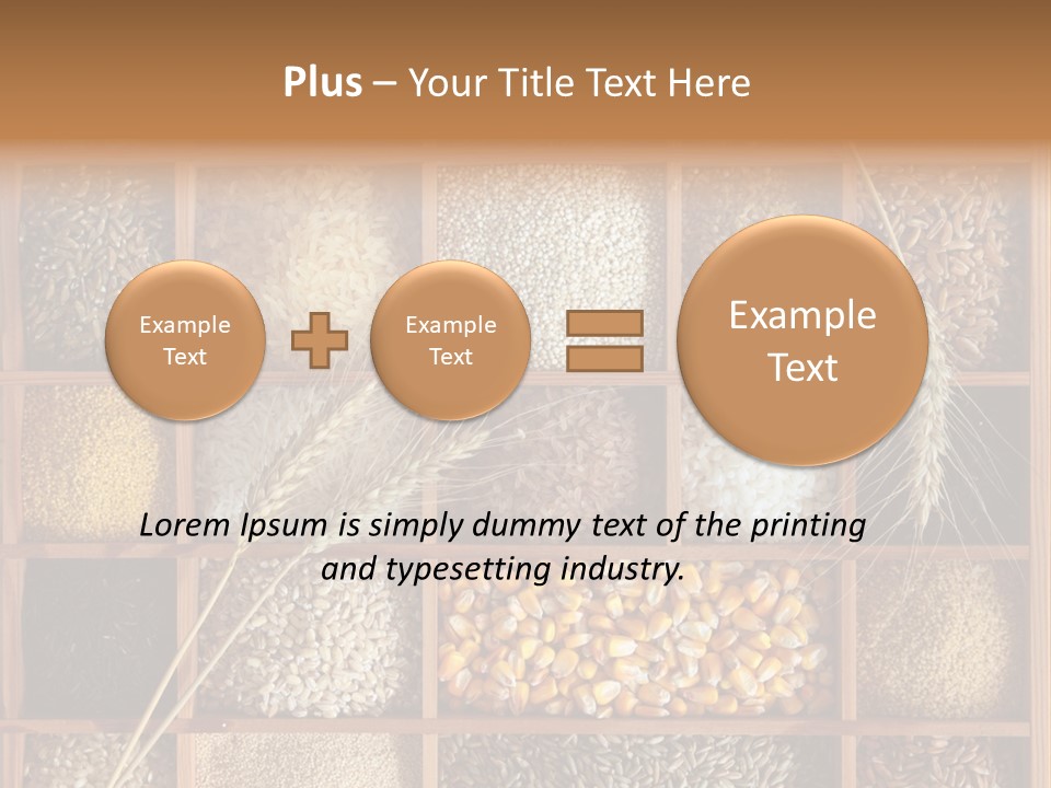 Energy Switch House PowerPoint Template