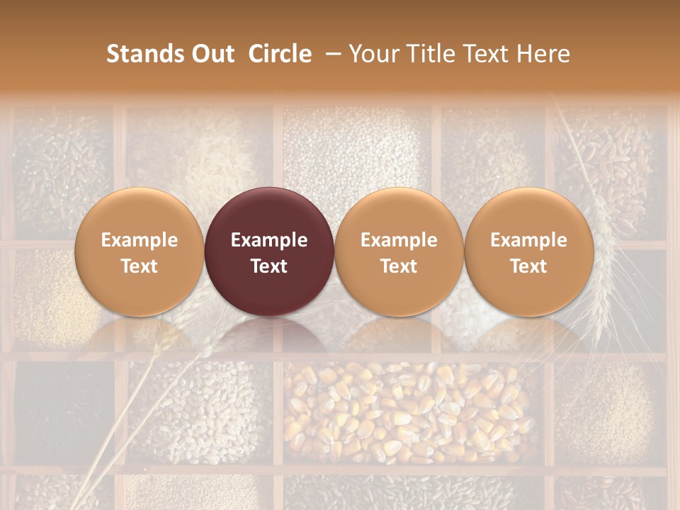 Energy Switch House PowerPoint Template