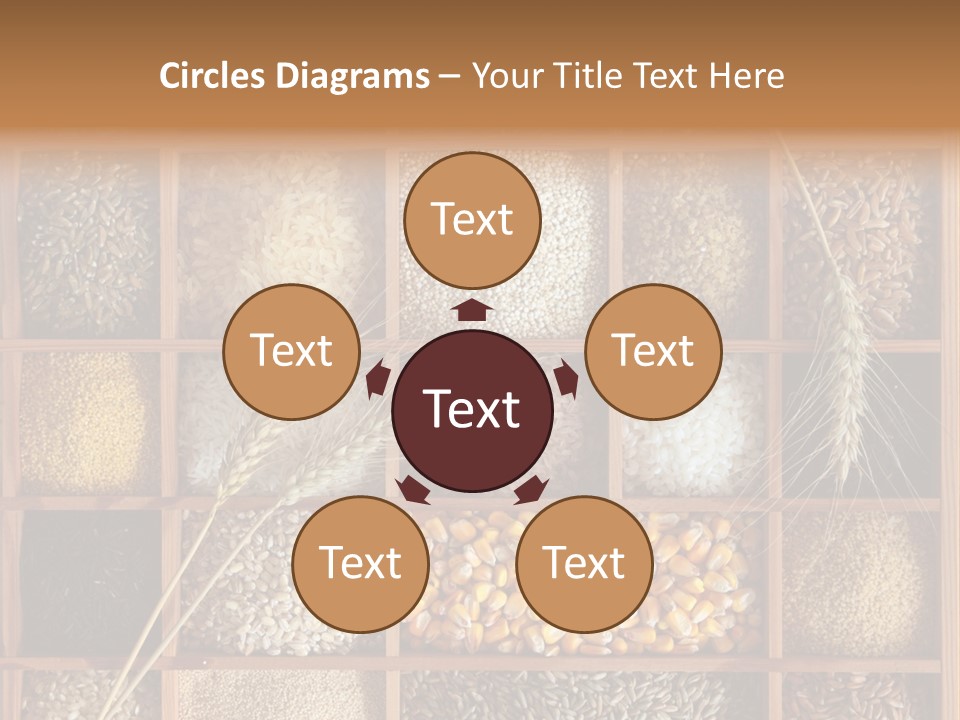 Energy Switch House PowerPoint Template