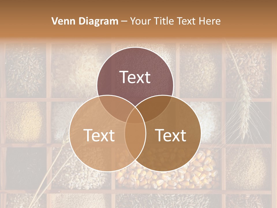 Energy Switch House PowerPoint Template
