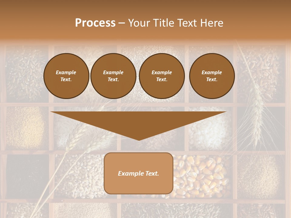 Energy Switch House PowerPoint Template