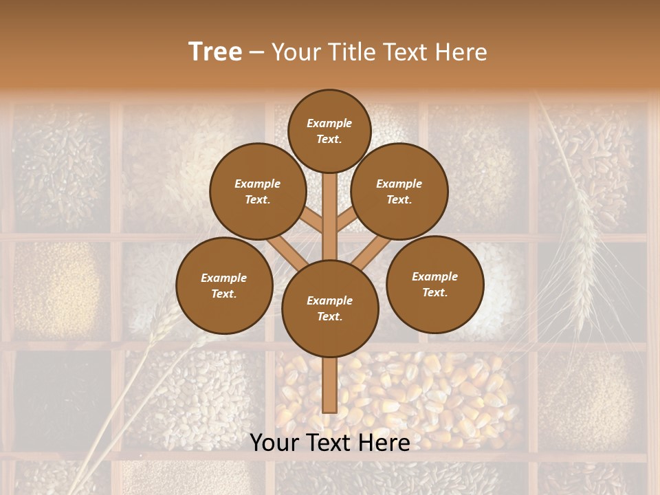 Energy Switch House PowerPoint Template