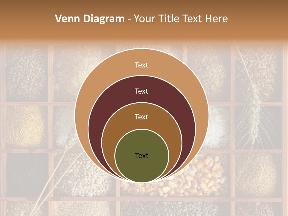 Energy Switch House PowerPoint Template