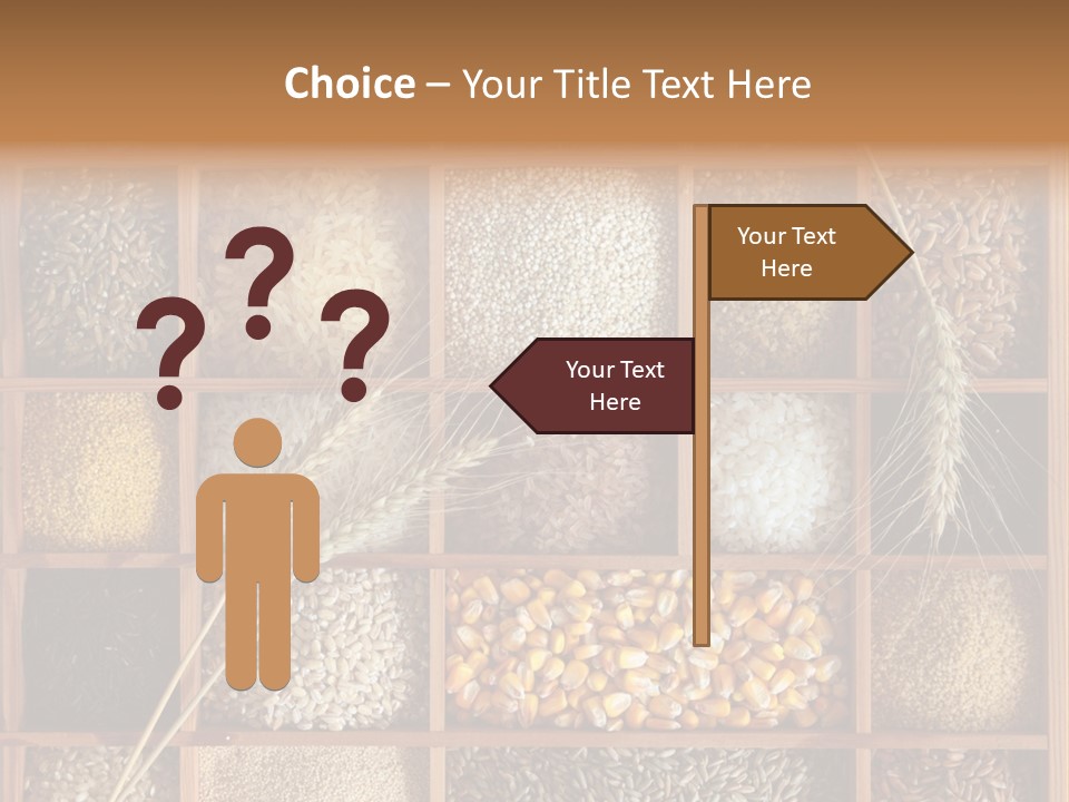 Energy Switch House PowerPoint Template
