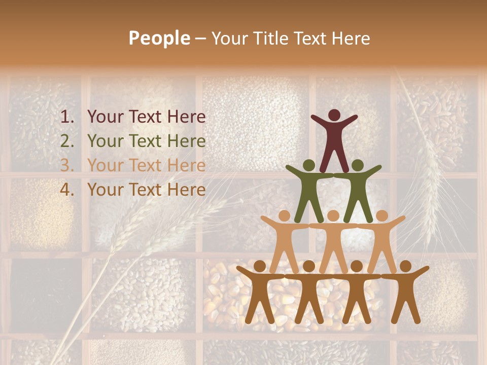 Energy Switch House PowerPoint Template